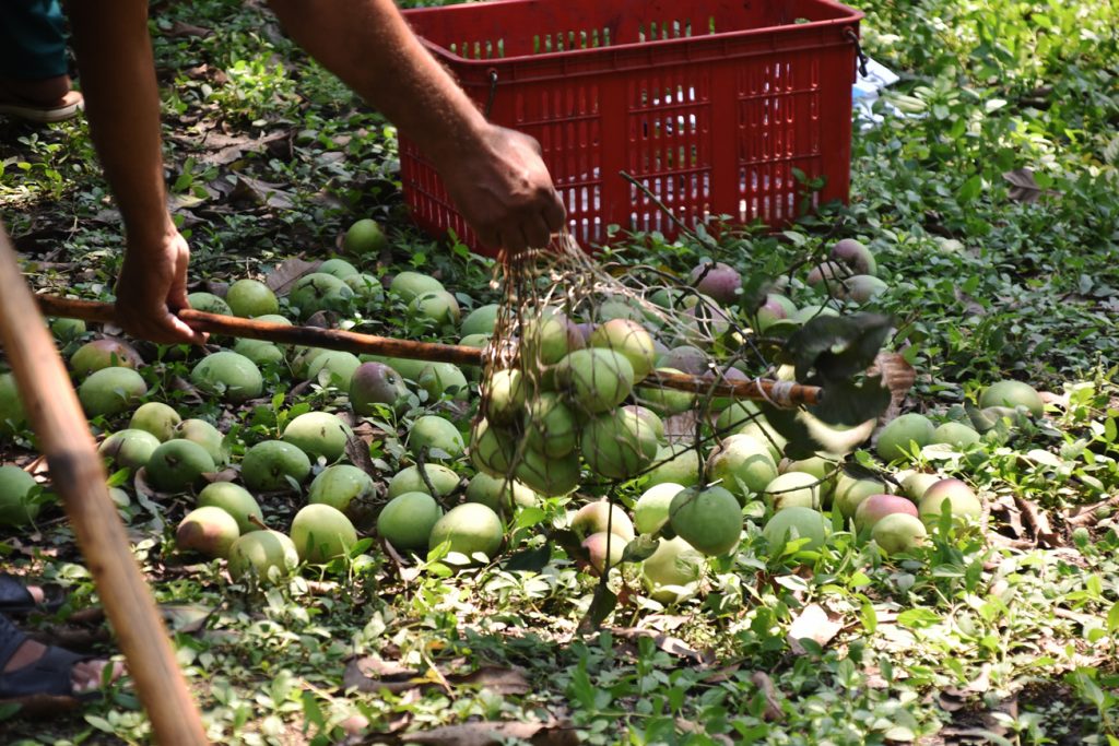 দিনের ছবি (১৭ মে, ২০২৬)