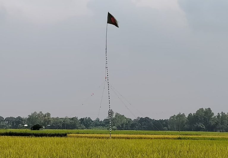 গ্রামবাসীর নিজস্ব উদ্যোগে খেলার মাঠের জমি ক্রয়, উৎসবে বাবুপুর